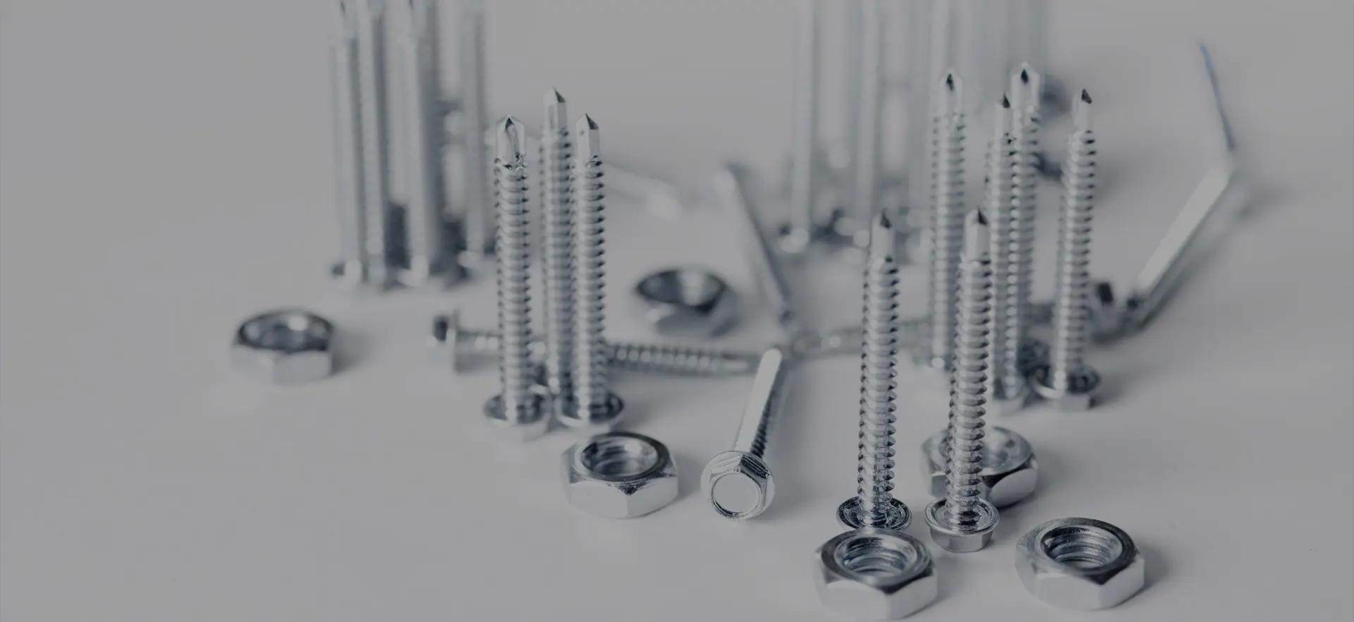 Ningbo Zhenrui Hardware Industrial Co., Ltd.